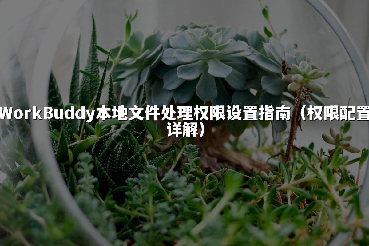 WorkBuddy本地文件处理权限设置指南(权限配置详解)