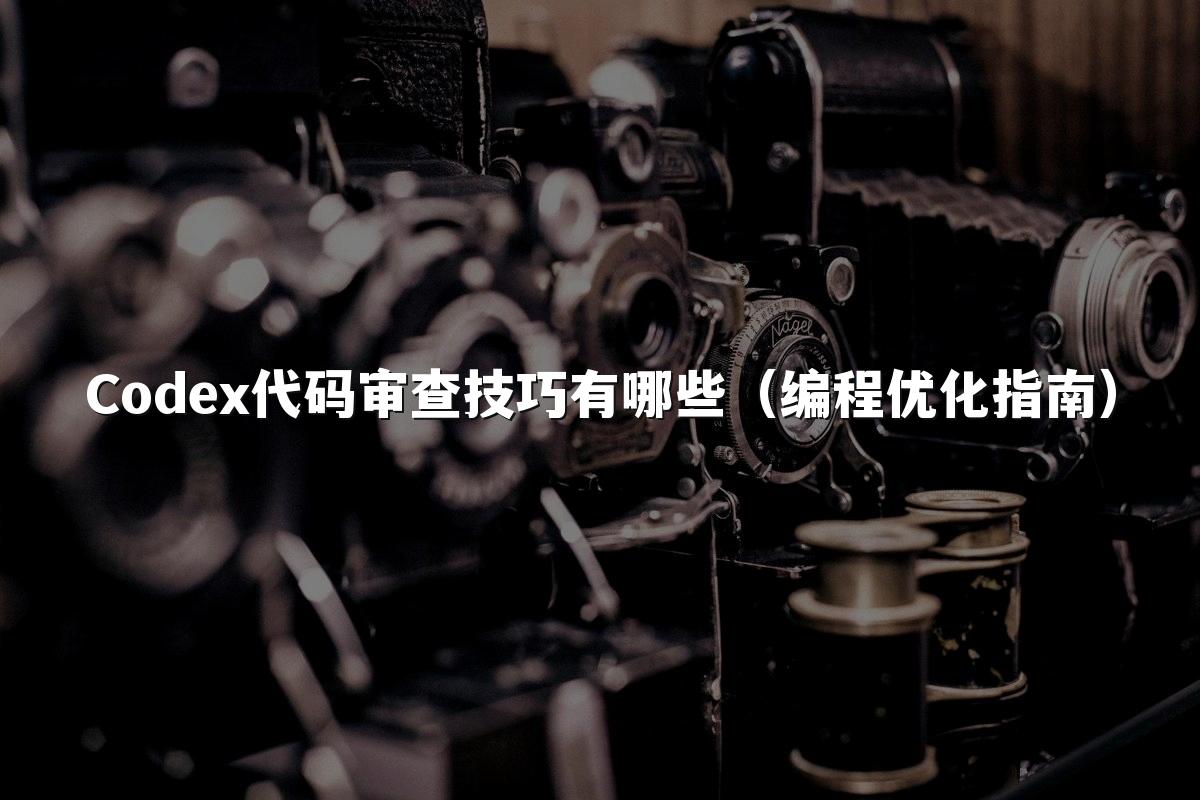 Codex代码审查技巧有哪些（编程优化指南）