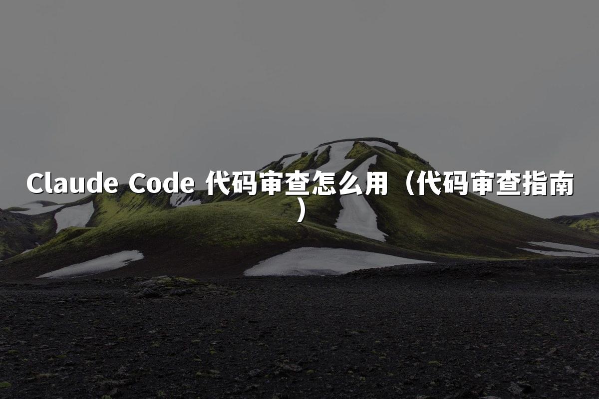 Claude Code 代码审查怎么用（代码审查指南）