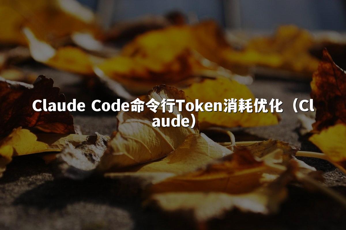 Claude Code命令行Token消耗优化（Claude）