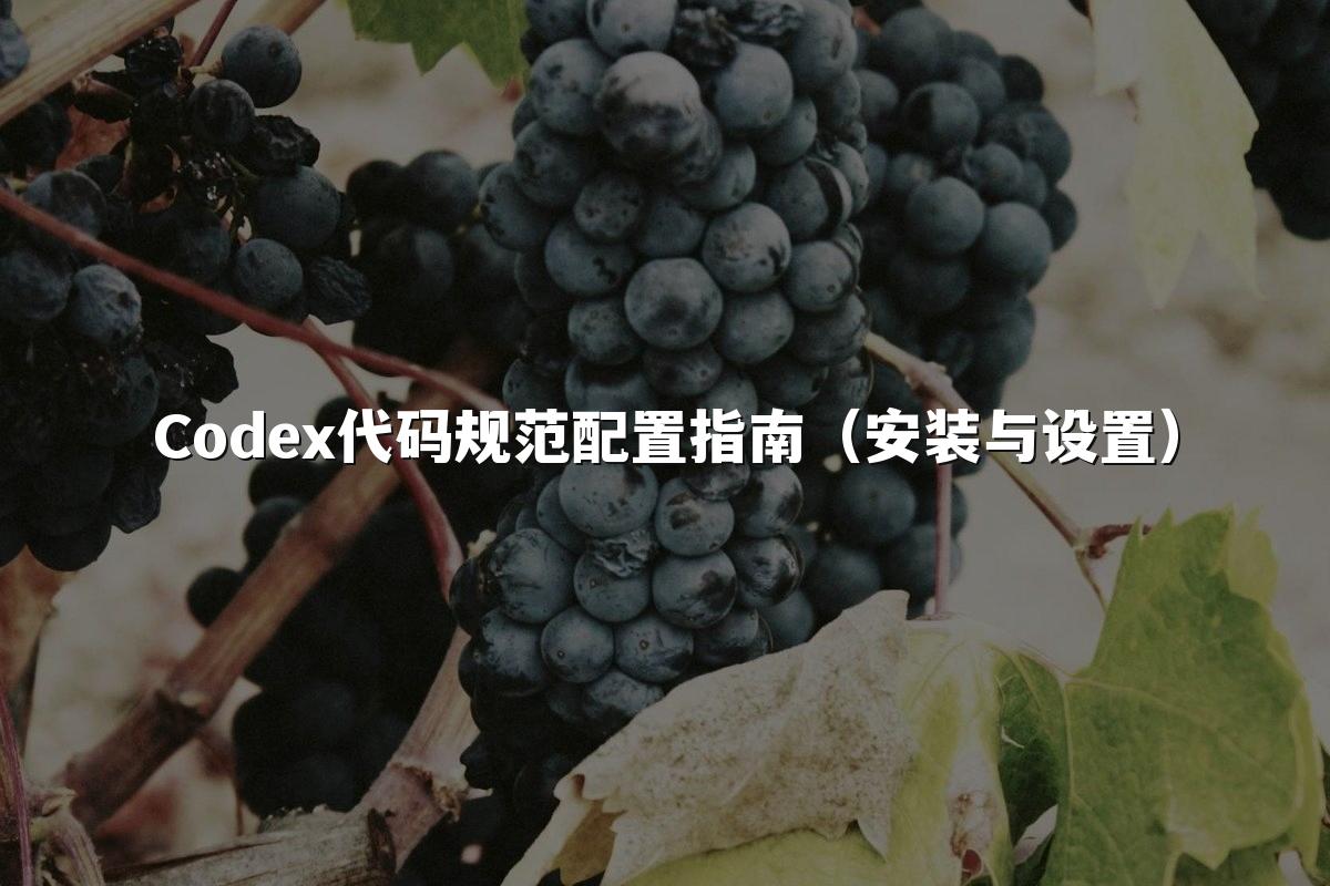 Codex代码规范配置指南(安装与设置)