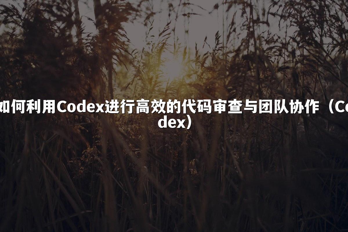 如何利用Codex进行高效的代码审查与团队协作（Codex）