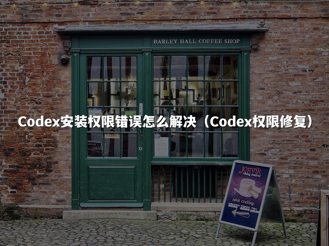 Codex安装权限错误怎么解决（Codex权限修复）