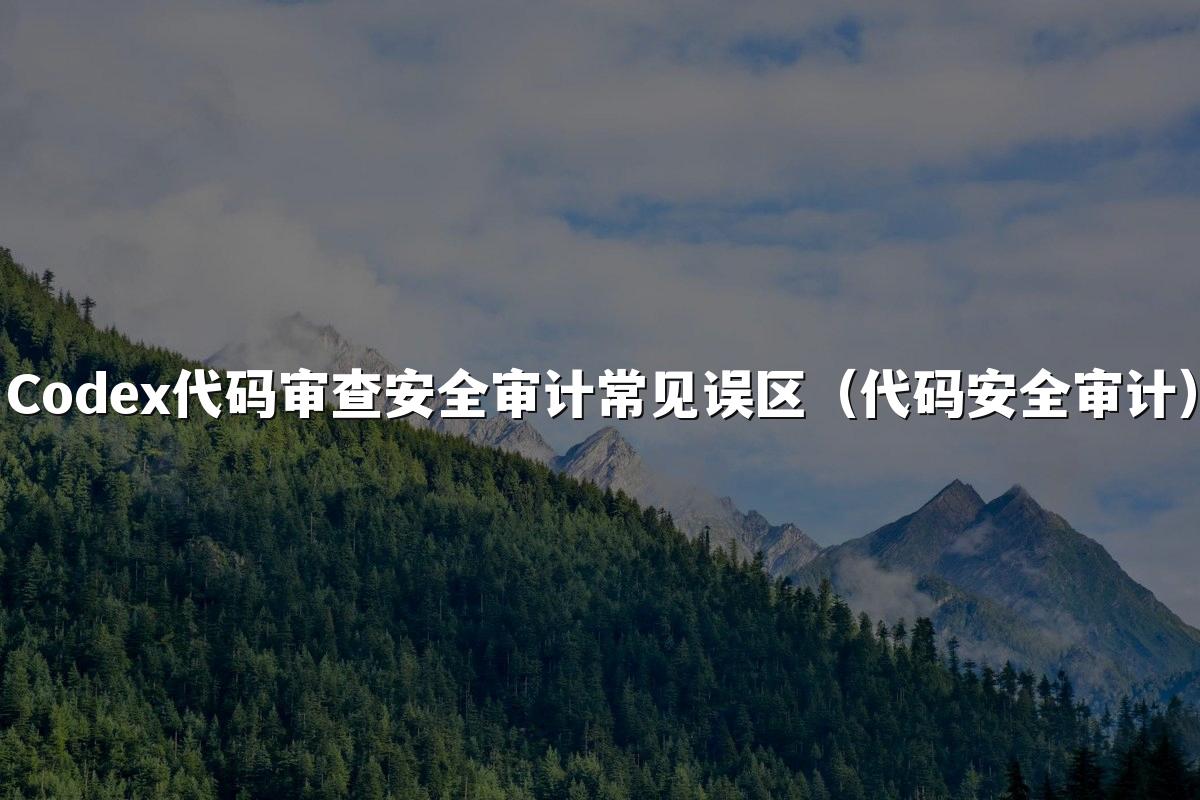 Codex代码审查安全审计常见误区（代码安全审计）