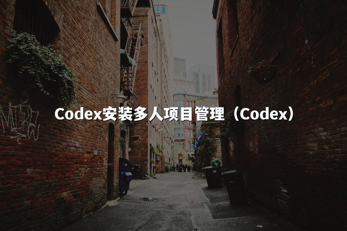 Codex安装多人项目管理（Codex）
