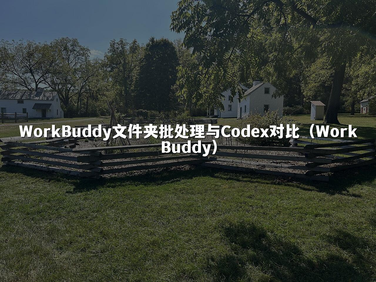WorkBuddy文件夹批处理与Codex对比(WorkBuddy)