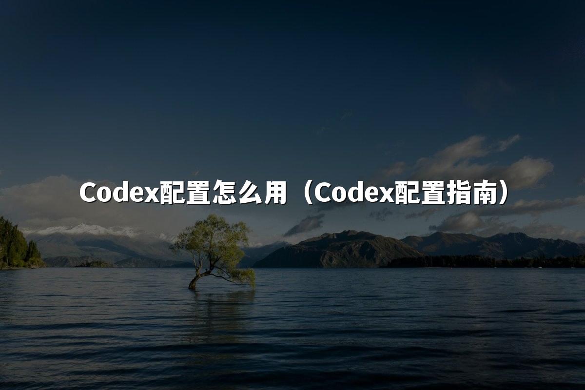 Codex配置怎么用（Codex配置指南）