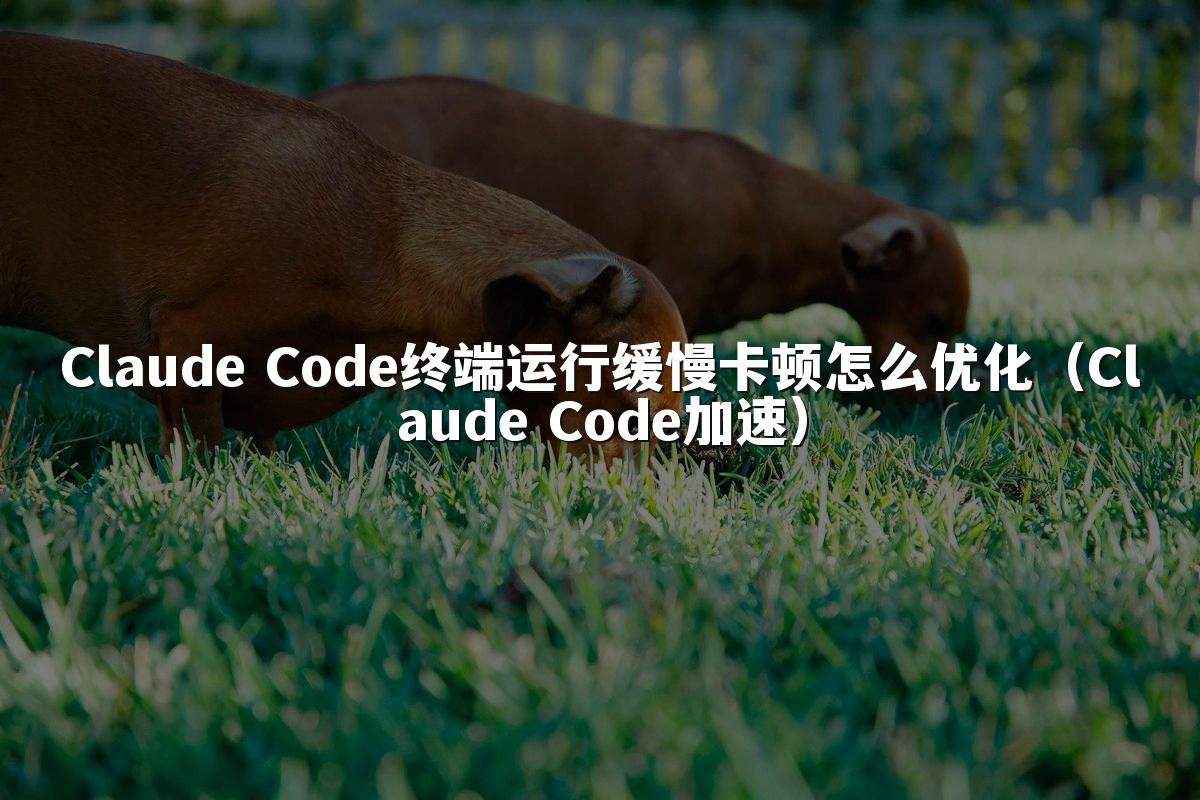 Claude Code终端运行缓慢卡顿怎么优化（Claude Code加速）