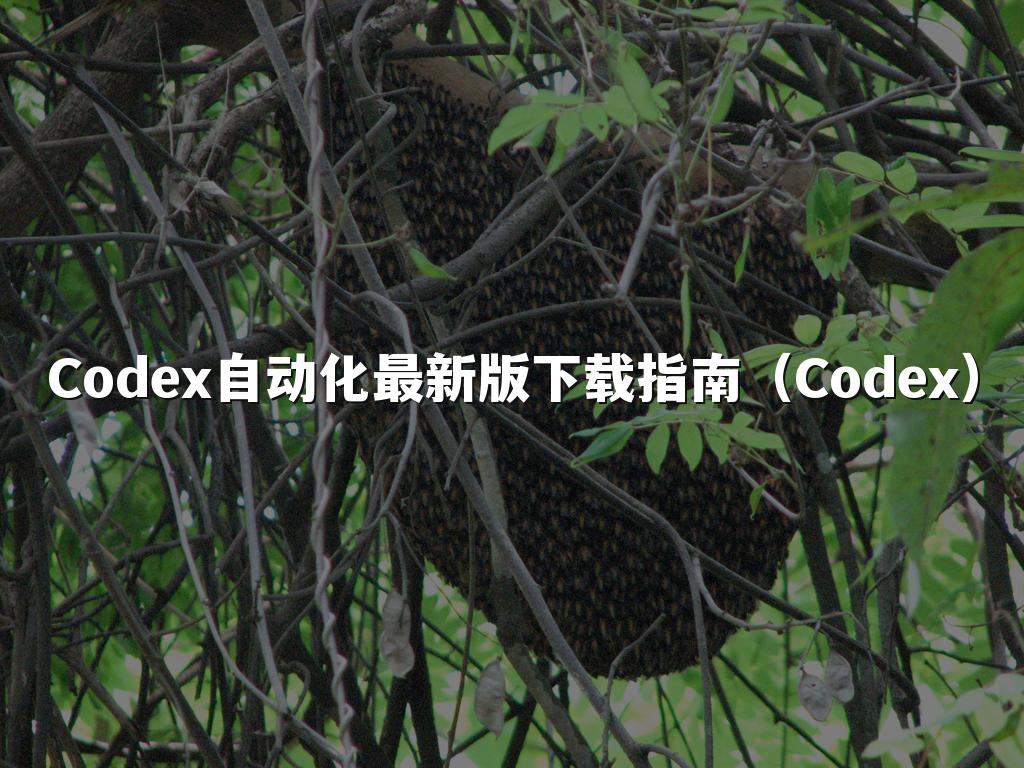 Codex自动化最新版下载指南（Codex）