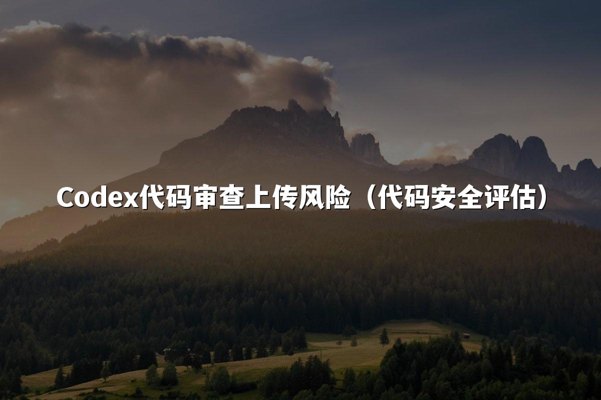 Codex代码审查上传风险（代码安全评估）
