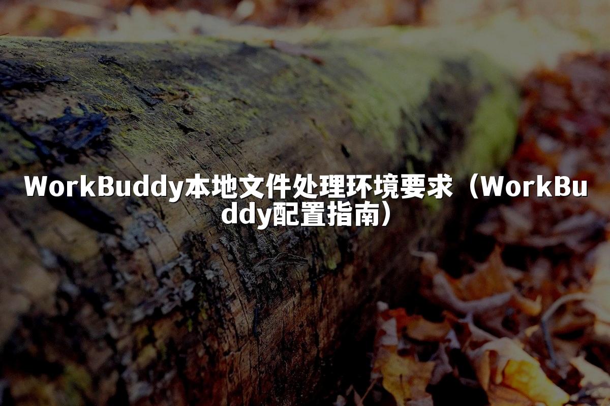 WorkBuddy本地文件处理环境要求(WorkBuddy配置指南)