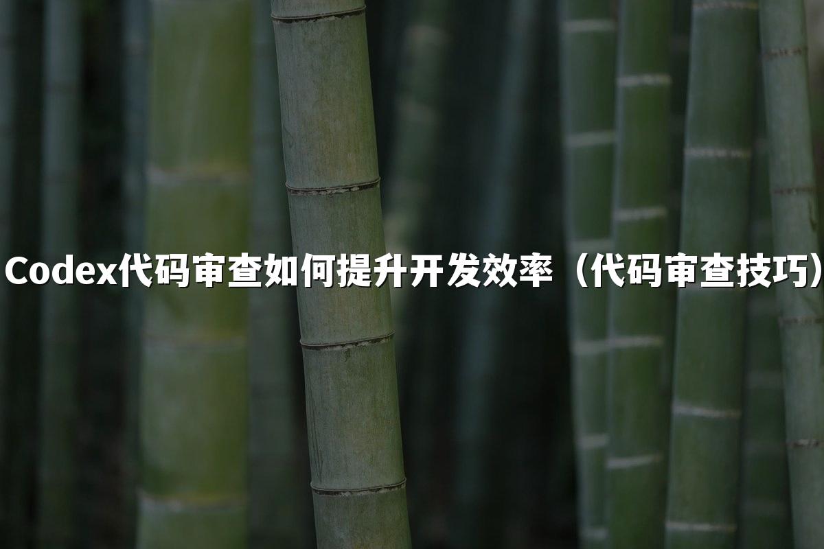 Codex代码审查如何提升开发效率(代码审查技巧)