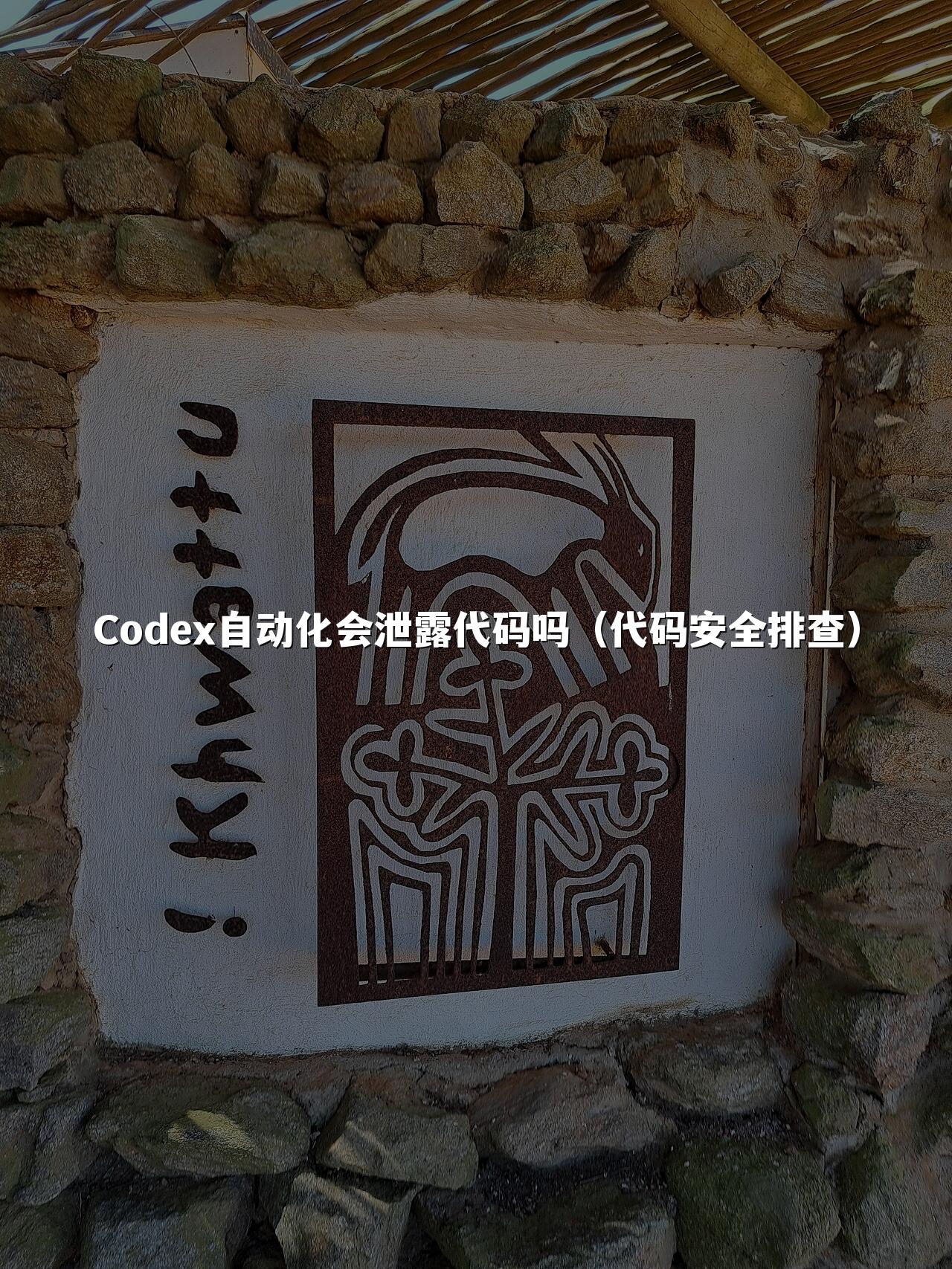 Codex自动化会泄露代码吗（代码安全排查）