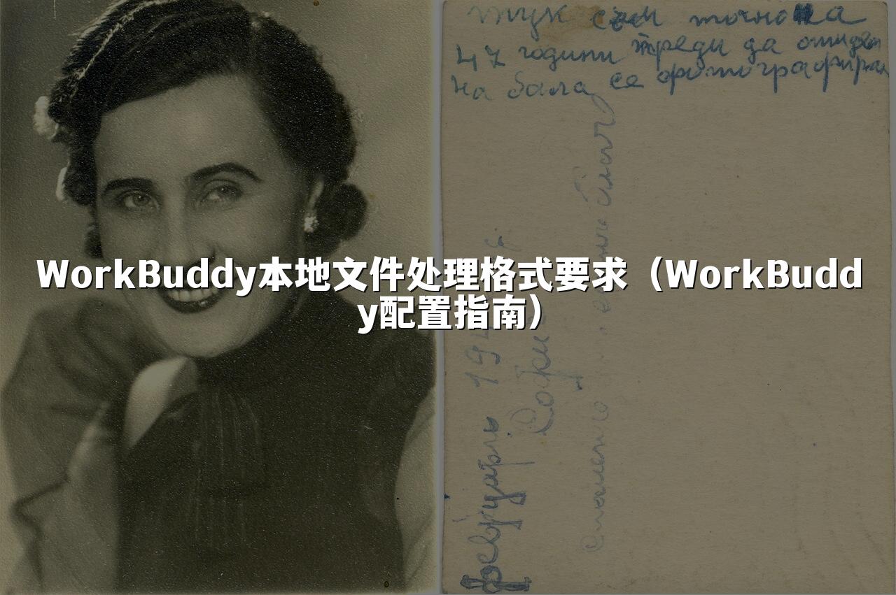 WorkBuddy本地文件处理格式要求(WorkBuddy配置指南)
