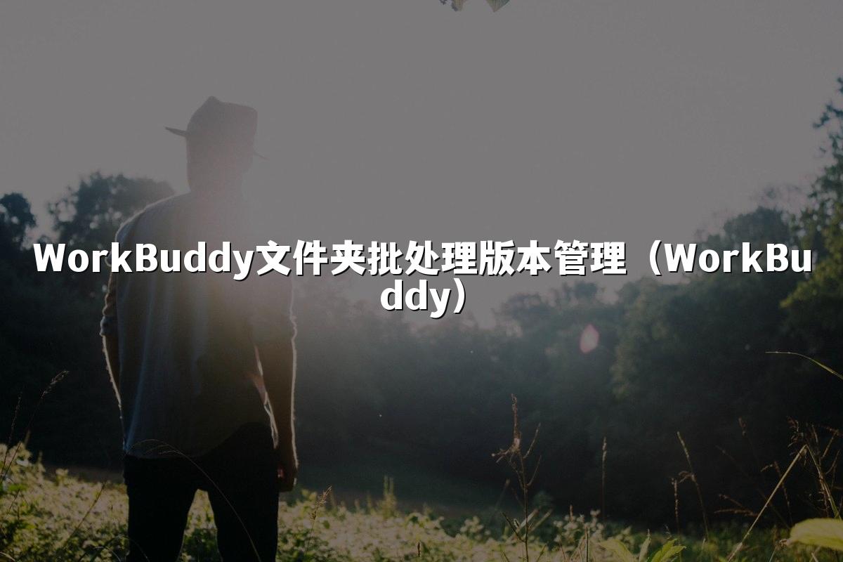 WorkBuddy文件夹批处理版本管理(WorkBuddy)