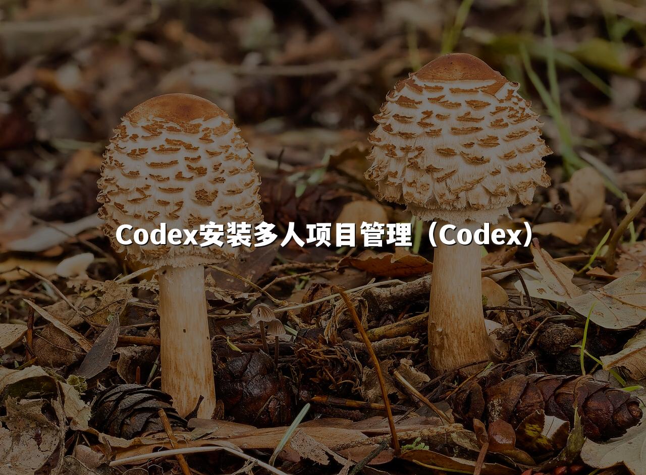 Codex安装多人项目管理（Codex）
