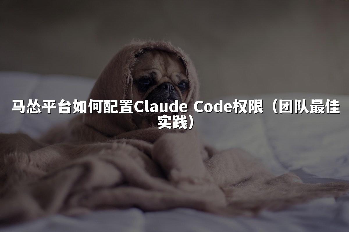 马怂平台如何配置Claude Code权限(团队最佳实践)
