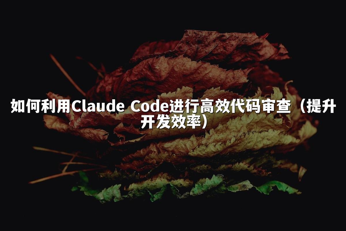 如何利用Claude Code进行高效代码审查（提升开发效率）