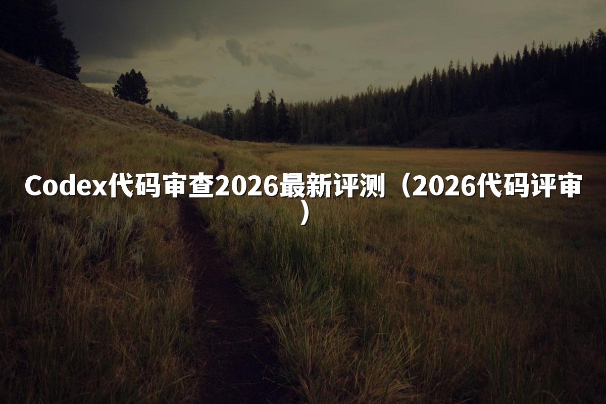 Codex代码审查2026最新评测（2026代码评审）