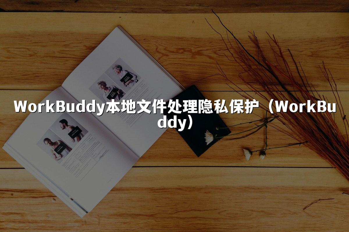 WorkBuddy本地文件处理隐私保护(WorkBuddy)