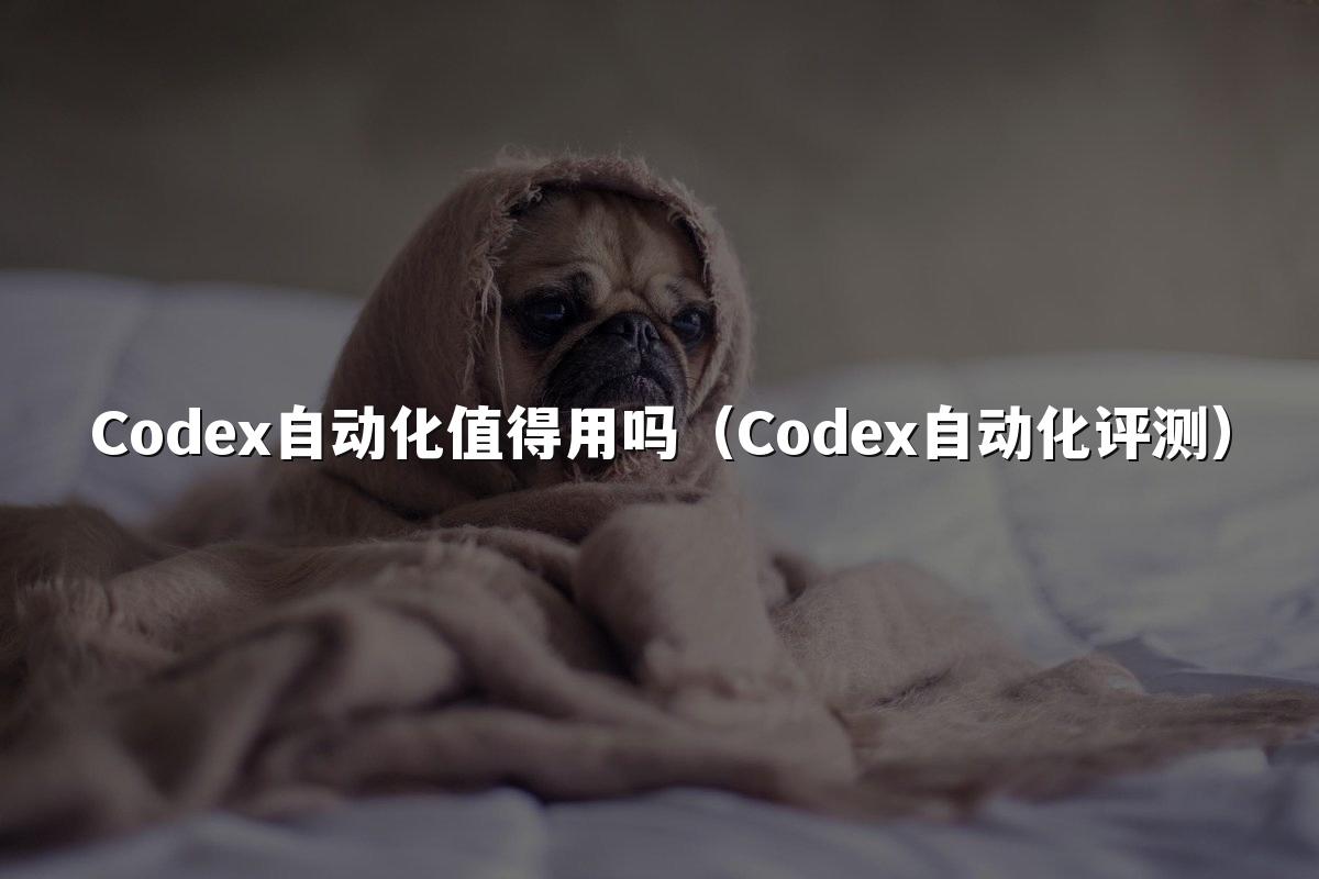 Codex自动化值得用吗（Codex自动化评测）