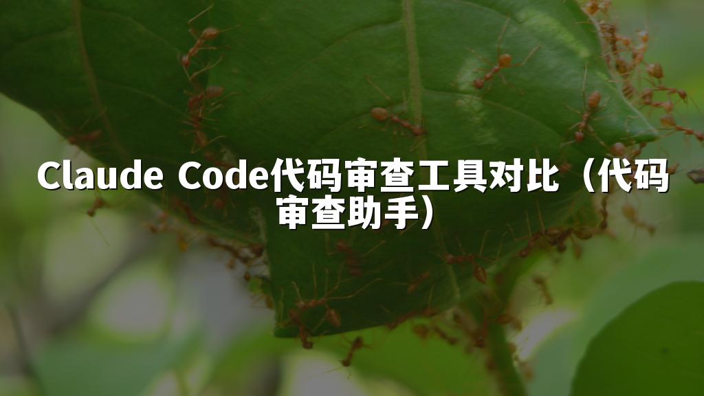 Claude Code代码审查工具对比（代码审查助手）
