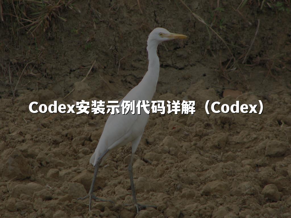 Codex安装示例代码详解（Codex）