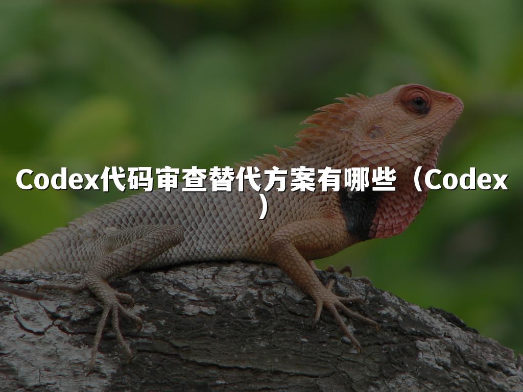 Codex代码审查替代方案有哪些（Codex）