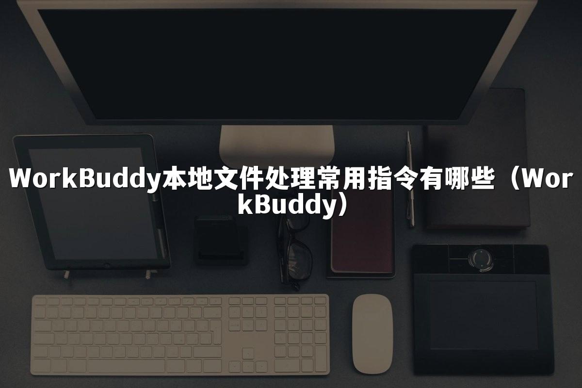 WorkBuddy本地文件处理常用指令有哪些(WorkBuddy)