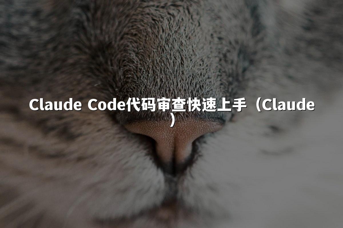 Claude Code代码审查快速上手（Claude）