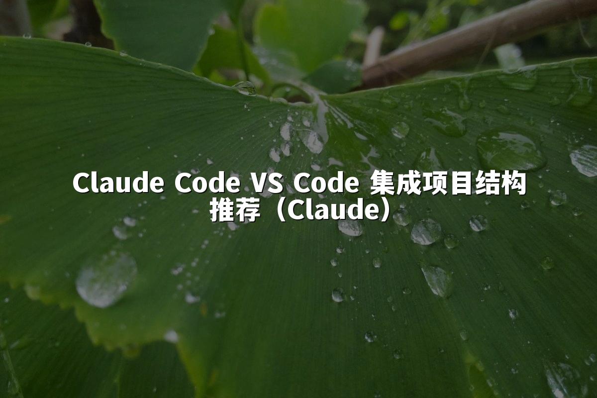 Claude Code VS Code 集成项目结构推荐（Claude）
