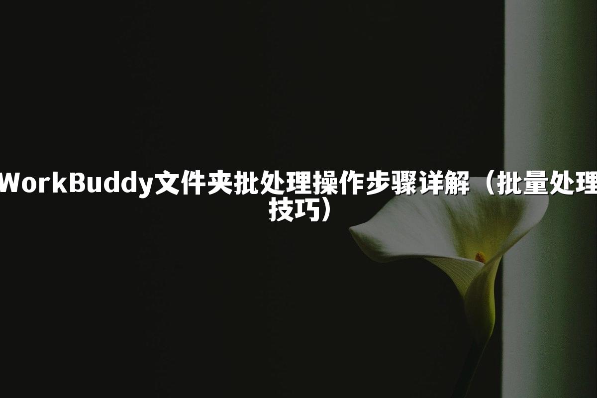 WorkBuddy文件夹批处理操作步骤详解(批量处理技巧)