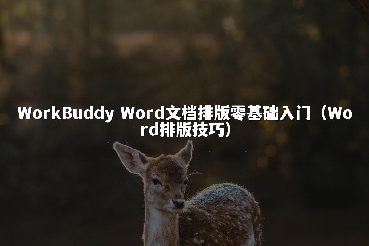WorkBuddy Word文档排版零基础入门（Word排版技巧）