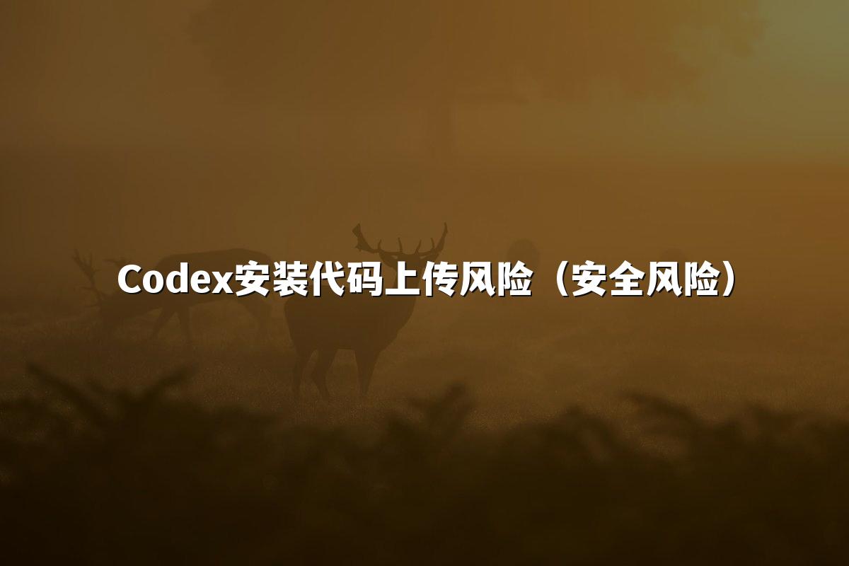 Codex安装代码上传风险（安全风险）