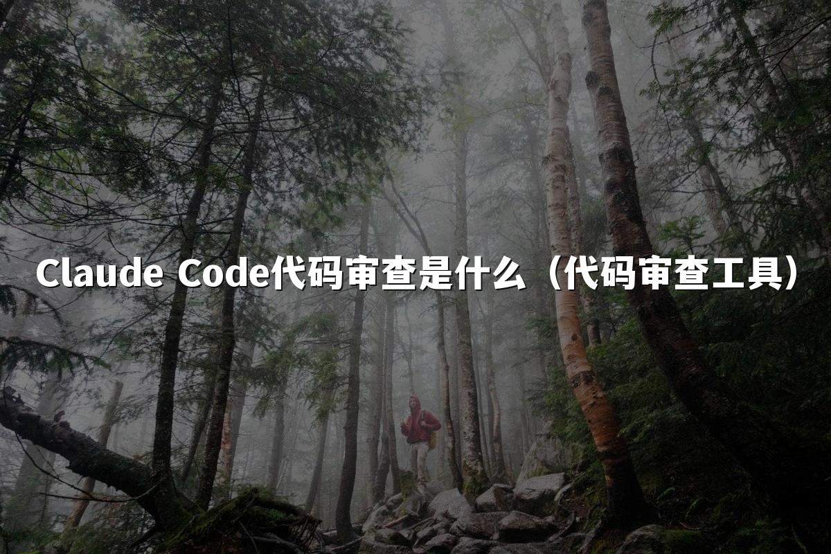 Claude Code代码审查是什么（代码审查工具）