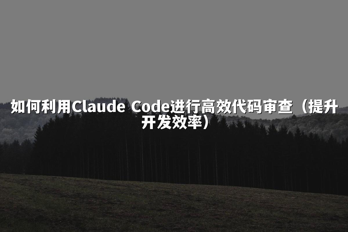 如何利用Claude Code进行高效代码审查（提升开发效率）