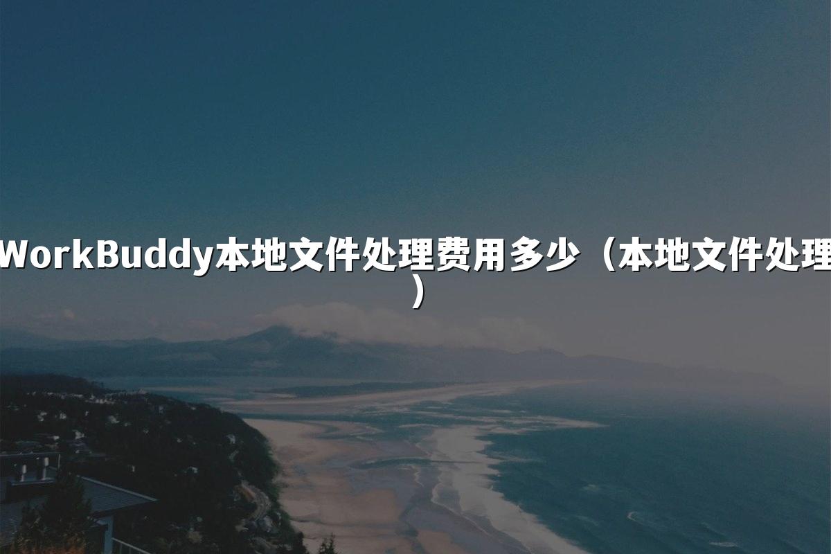WorkBuddy本地文件处理费用多少(本地文件处理)