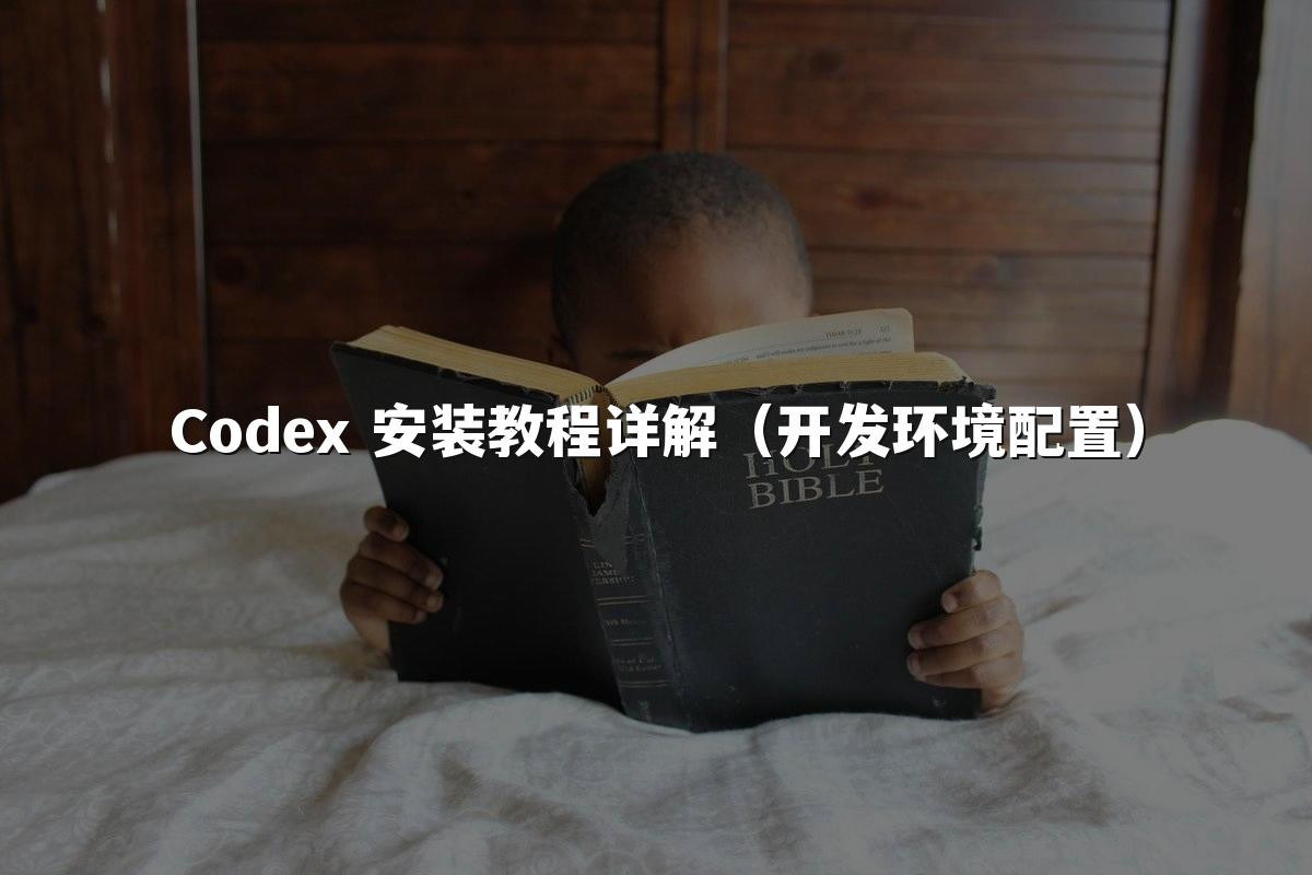 Codex 安装教程详解（开发环境配置）