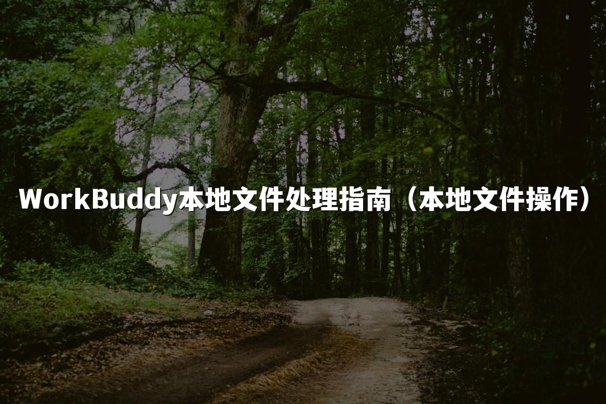 WorkBuddy本地文件处理指南(本地文件操作)