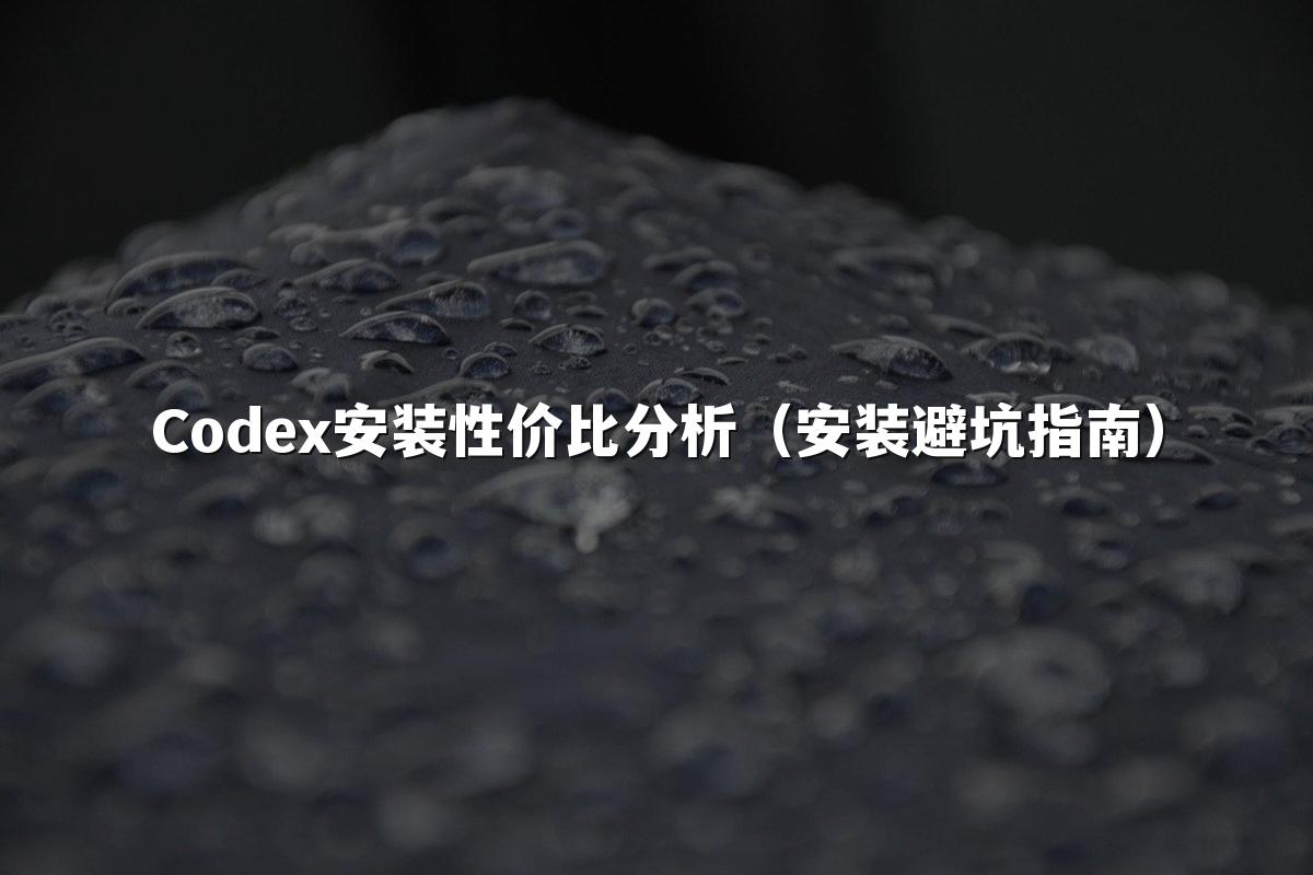 Codex安装性价比分析(安装避坑指南)