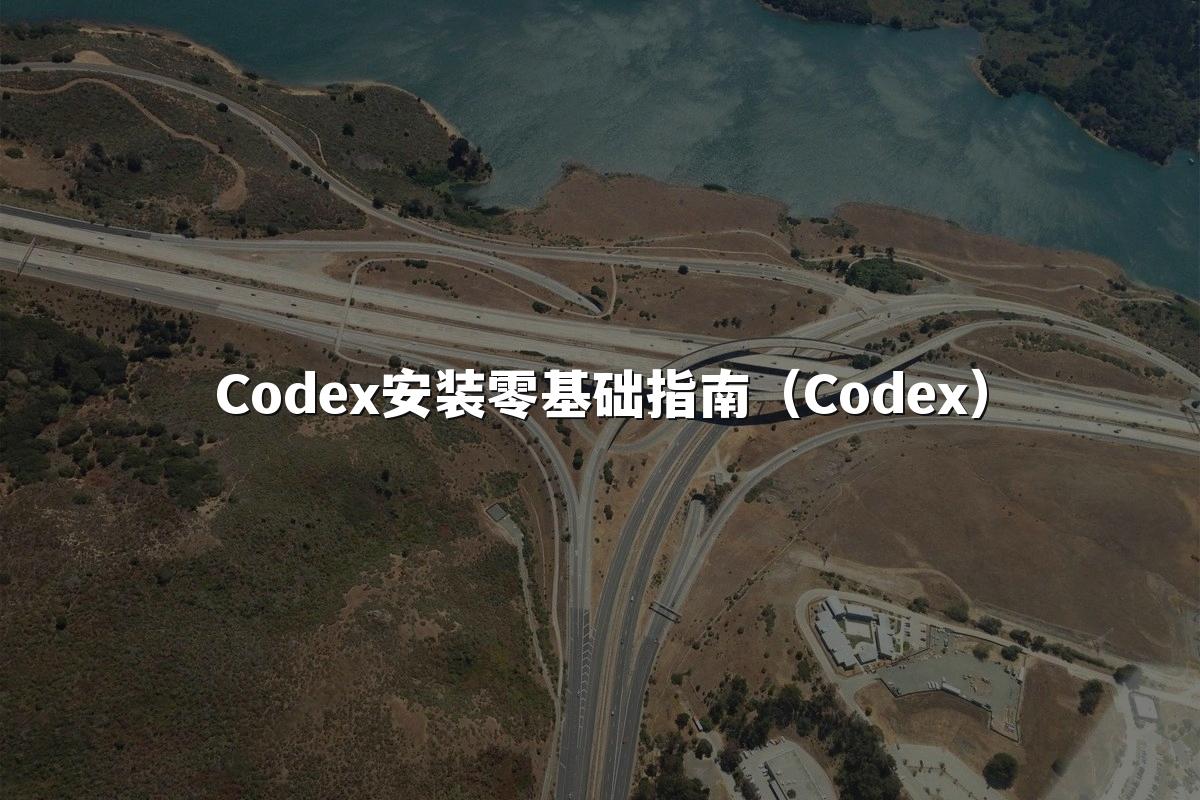 Codex安装零基础指南（Codex）