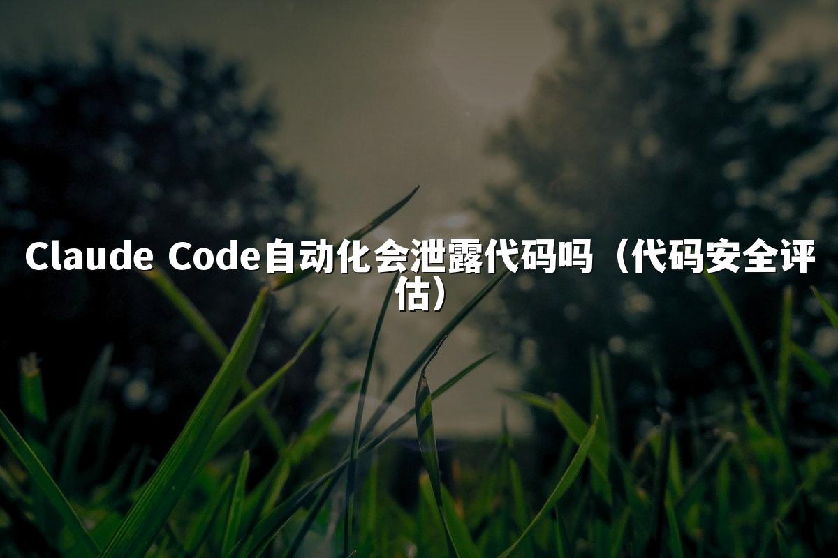 Claude Code自动化会泄露代码吗(代码安全评估)