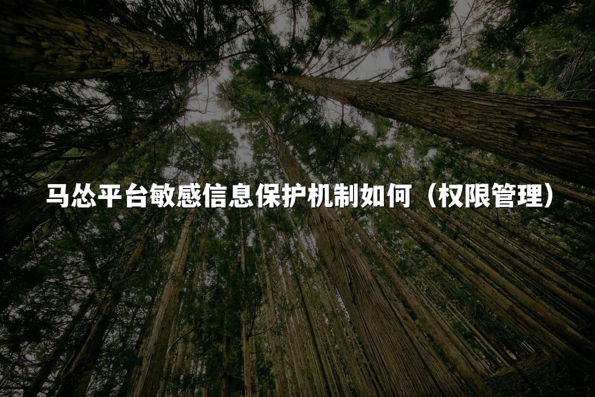 马怂平台敏感信息保护机制如何(权限管理)