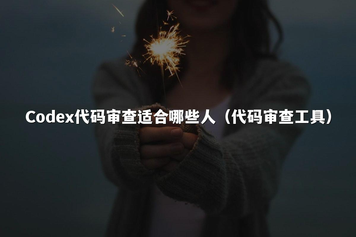 Codex代码审查适合哪些人（代码审查工具）
