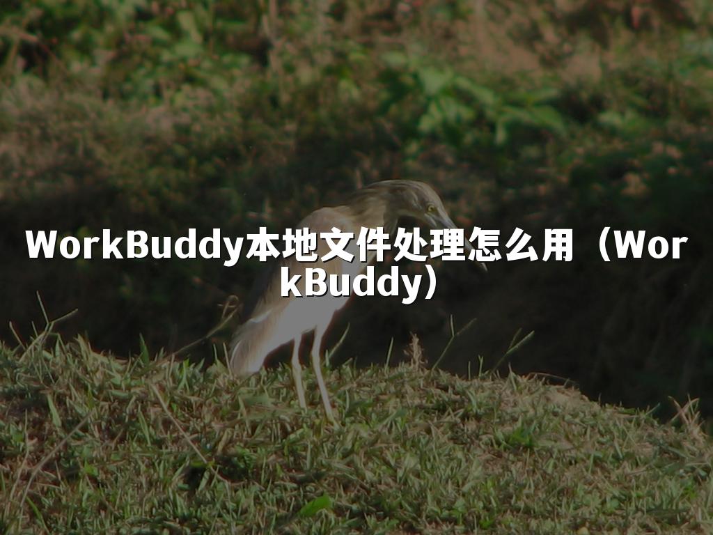 WorkBuddy本地文件处理怎么用(WorkBuddy)