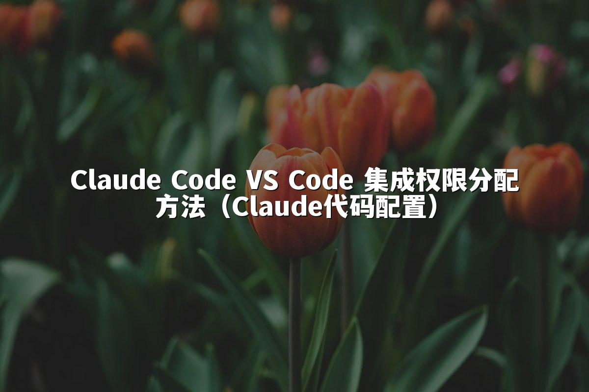 Claude Code VS Code 集成权限分配方法（Claude代码配置）