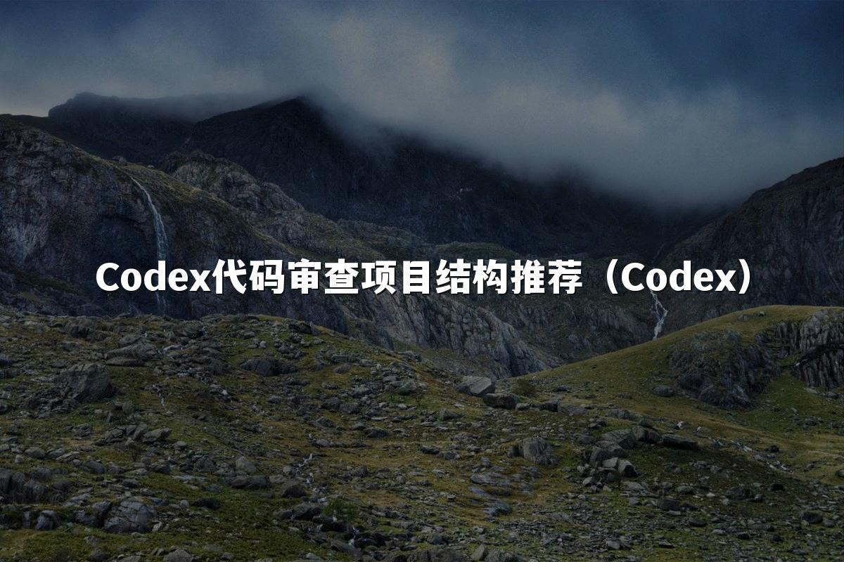 Codex代码审查项目结构推荐(Codex)