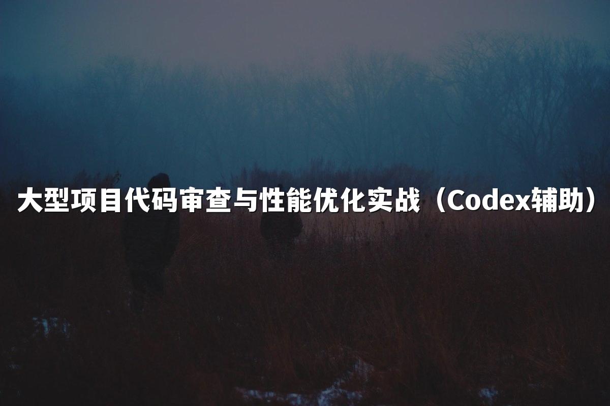 大型项目代码审查与性能优化实战(Codex辅助)