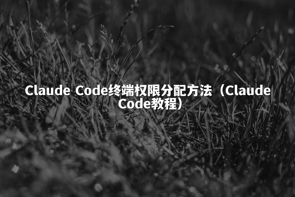 Claude Code终端权限分配方法(Claude Code教程)