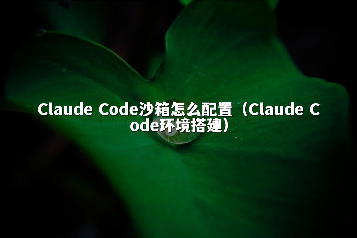 Claude Code沙箱怎么配置(Claude Code环境搭建)